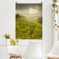 Klebefieber Poster Natur & Landschaft Sonnenstrahlen Weinberg