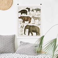 Klebefieber Poster Vintage Lehrtafel Elefant, Zebra und Nashorn