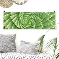 Klebefieber Panorama Poster Blumen Spiral Aloe