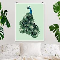 Klebefieber Poster Tiere Pfau mit Monstera Blättern