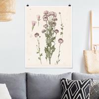 Klebefieber Poster Blumen Herbarium in rosa I