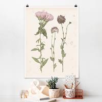 Klebefieber Poster Blumen Herbarium in rosa III