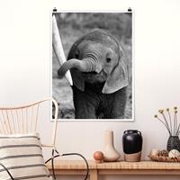Klebefieber Poster Tiere Elefantenbaby
