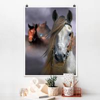 Klebefieber Poster Tiere Horses in the Dust