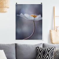 Klebefieber Poster Blumen Weiße Anemonenblüte