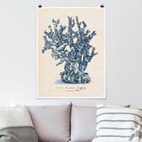 Klebefieber Poster Blumen Meereskorallen Studie II