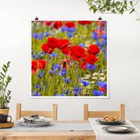 Klebefieber Poster Sommerwiese mit Mohn und Kornblumen