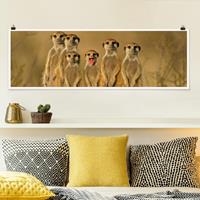 Klebefieber Panorama Poster Tiere Meerkat Family