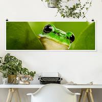 Klebefieber Panorama Poster Tiere Wetterfrosch