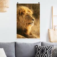 Klebefieber Poster Tiere Löwenkönig
