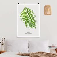 Klebefieber Poster Blumen Tropisches Blatt Areca Palme