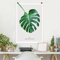 Klebefieber Poster Blumen Tropisches Blatt Monstera