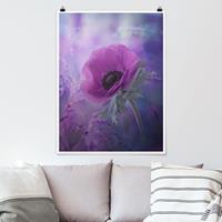 Klebefieber Poster Blumen Anemonenblüte in Violett