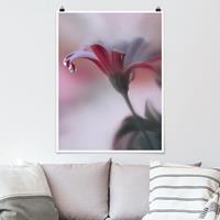 Klebefieber Poster Blumen Invisible Touch