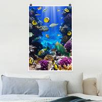 Klebefieber Poster Tiere Underwater Dreams