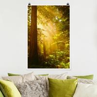 Klebefieber Poster Wald Morgengold