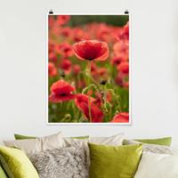 Klebefieber Poster Blumen Mohnfeld im Sonnenlicht