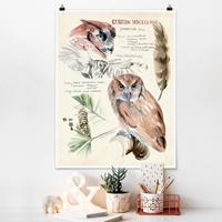 Klebefieber Poster Blumen Wildnis Journal - Eule