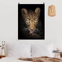 Klebefieber Poster Tiere Resting Leopard
