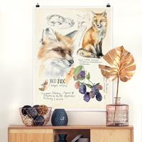 Klebefieber Poster Blumen Wildnis Journal - Fuchs