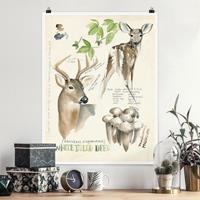 Klebefieber Poster Blumen Wildnis Journal - Hirsch