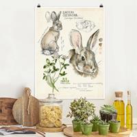 Klebefieber Poster Blumen Wildnis Journal - Kaninchen