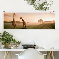 Klebefieber Panorama Poster Tiere Surreal Giraffes