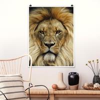 Klebefieber Poster Tiere Wisdom of Lion