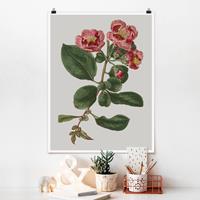 Klebefieber Poster Blumen Florale Schmuckstücke I