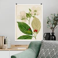 Klebefieber Poster Blumen Tableau Blatt Blüte Frucht III