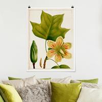 Klebefieber Poster Blumen Tableau Blatt Blüte Frucht IV