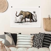 Klebefieber Poster Vintage Lehrtafel Elefant