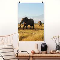 Klebefieber Poster Tiere Elefanten vor dem Kilimanjaro in Kenya