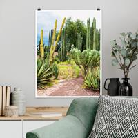 Klebefieber Poster Natur & Landschaft Kakteen Landschaft