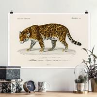 Klebefieber Poster Vintage Lehrtafel Jaguar