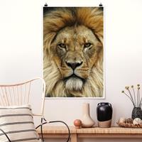 Klebefieber Poster Tiere Wisdom of Lion