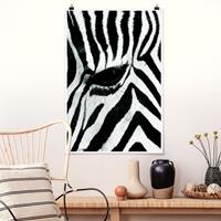 Klebefieber Poster Tiere Zebra Crossing No.3