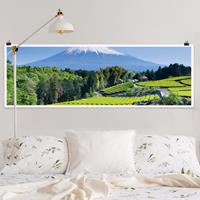 Klebefieber Panorama Poster Natur & Landschaft Teefelder vor dem Fuji
