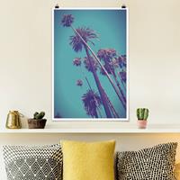 Klebefieber Poster Tropische Pflanzen Palmen und Himmel