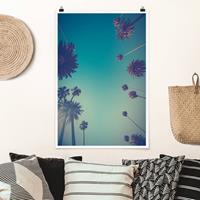 Klebefieber Poster Tropische Pflanzen Palmen und Himmel II