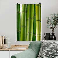 Klebefieber Poster Wald Bambuspflanzen