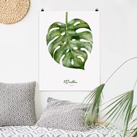 Klebefieber Poster Blumen Aquarell Botanik Monstera