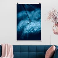 Klebefieber Poster Blumen Blaue Pusteblume im Regen