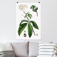 Klebefieber Poster Blumen Laubwerk mit Blüten II