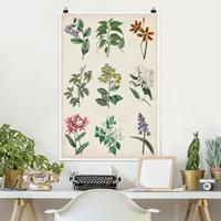 Klebefieber Poster Blumen Botanische Schautafel I