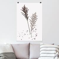 Klebefieber Poster Blumen Botanisches Aquarell - Schwingelschilf