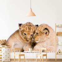 Klebefieber Fototapete Two Lion Babys
