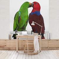 Klebefieber Fototapete Verliebte Papageien