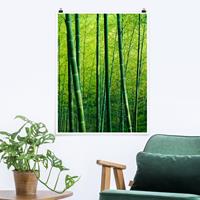Klebefieber Poster Natur & Landschaft Bambuswald