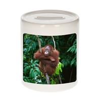 Bellatio Dieren orangoetan foto spaarpot 9 cm jongens en meisjes - Cadeau spaarpotten orang oetan apen liefhebber